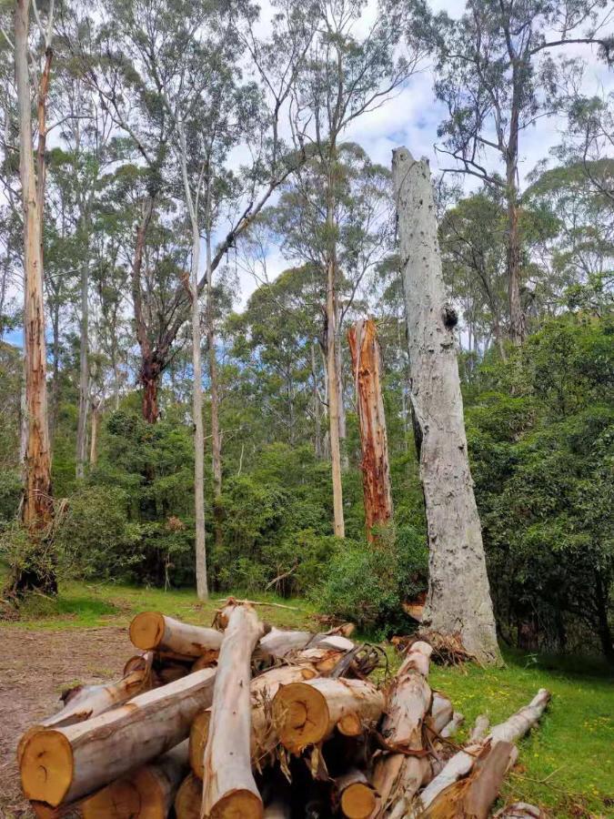 Lakes Entrance Log Cabins Buitenkant foto