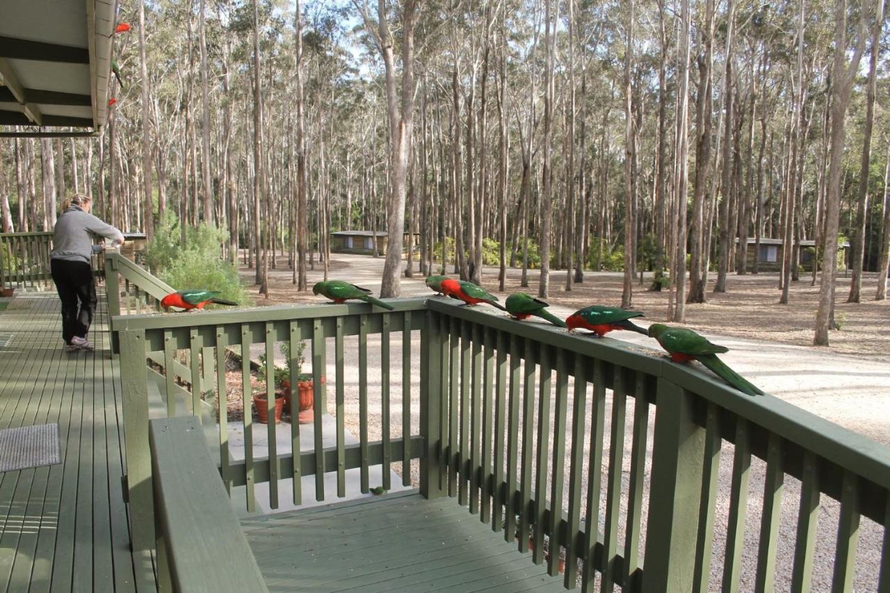 Lakes Entrance Log Cabins Buitenkant foto