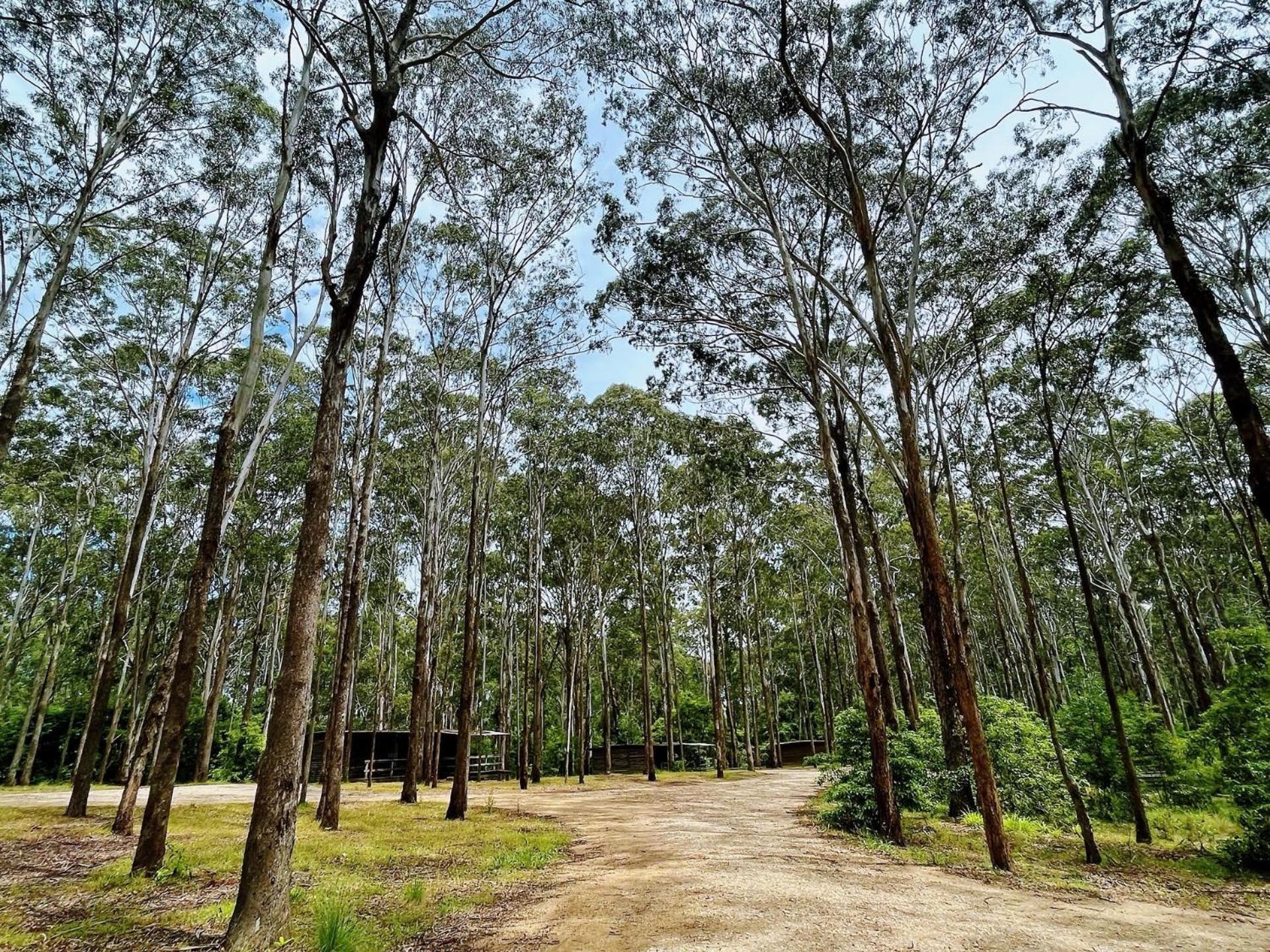 Lakes Entrance Log Cabins Buitenkant foto